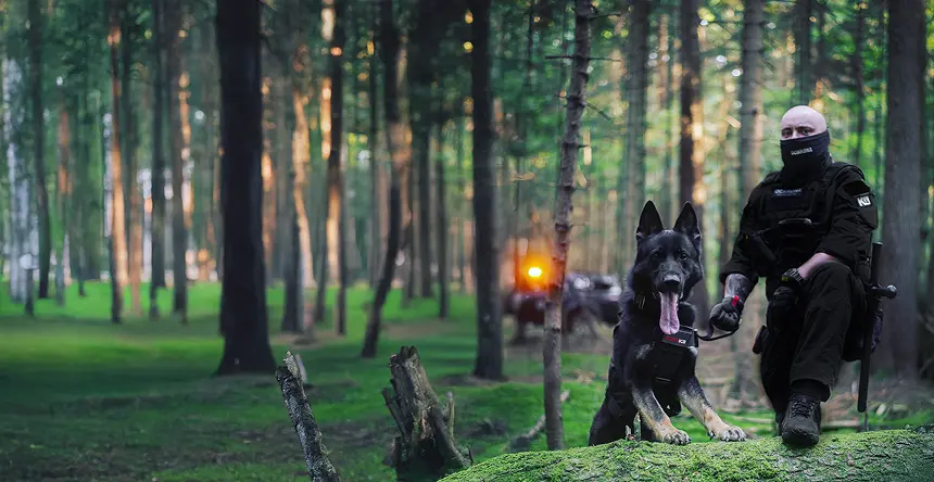Przewodnik z psem ochronnym K9 wyszkolonym do detekcji zagrożeń