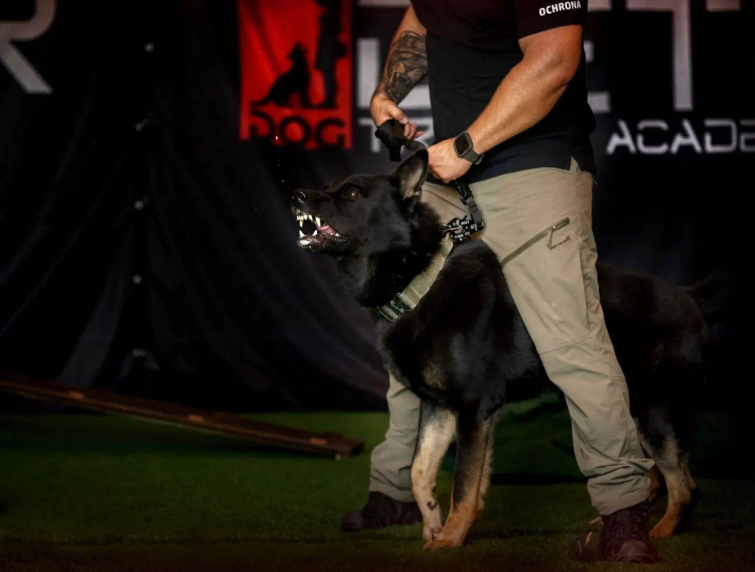 Przewodnik z psem służbowym Securand podczas patrolu