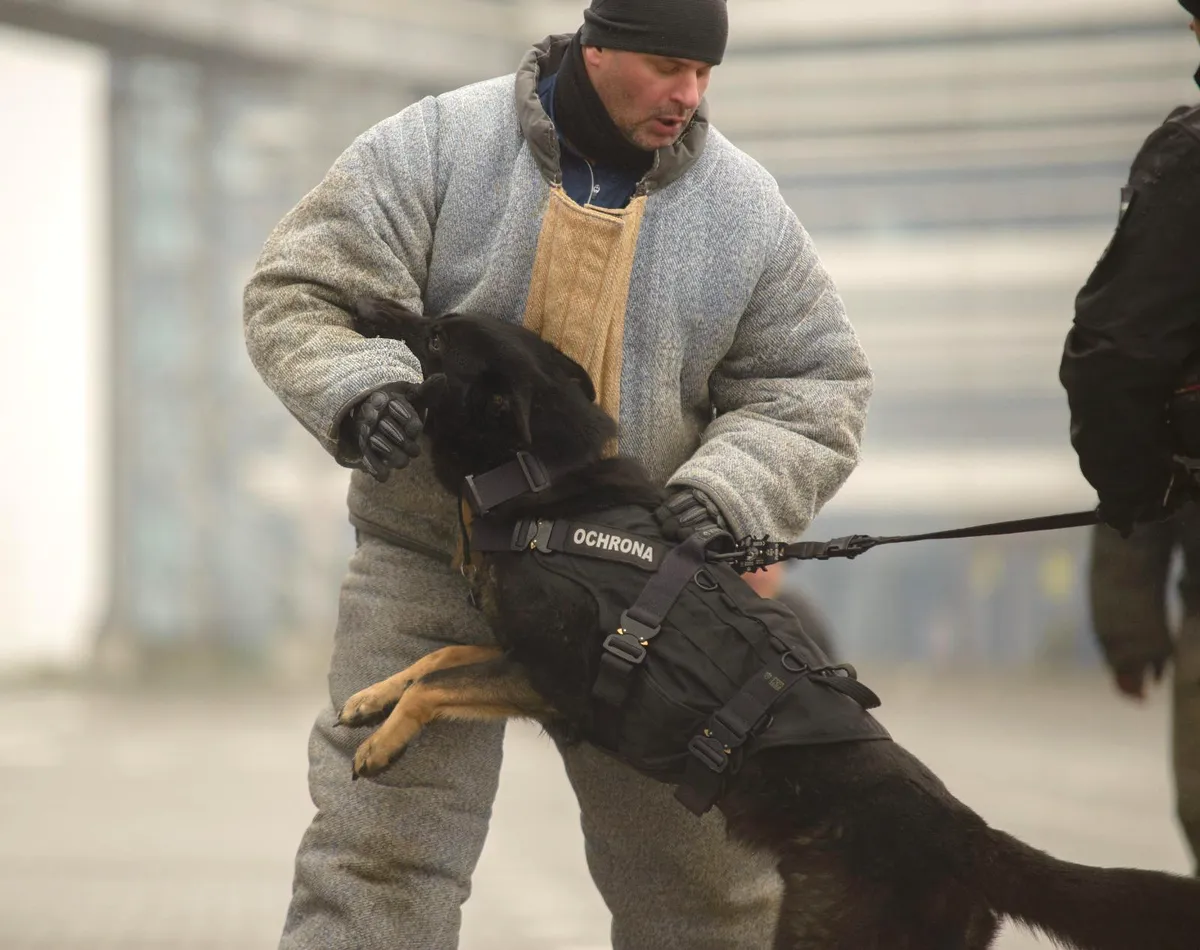 Przewodnik Securand podczas szkolenia obronnego z psem służbowym K9